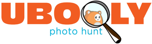 Find the 5 things that are different in this photo hunt and email the answers to contests [at] ubooly.com! By emailing you will be entered into the contest and a random winner will be selected. The winner will be mailed a very special prize.
Have a photo to share? Submit a photo of your kid playing with their Ubooly by posting it on Facebook! If your photo is selected for the next photo hunt I&#8217;ll send you an Ubooly t-shirt!  
Time to search!