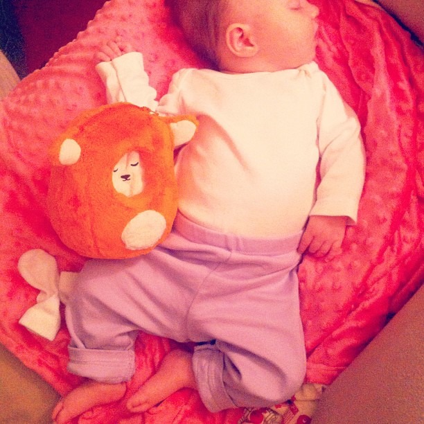 Slumber party!!
Magical photo submitted by: Jon R.