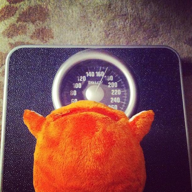 Apparently Ubooly also ate too much food over the holidays. 